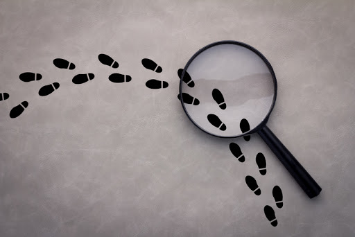 An Insight Into Workplace Investigations | Cairns Employment and ...